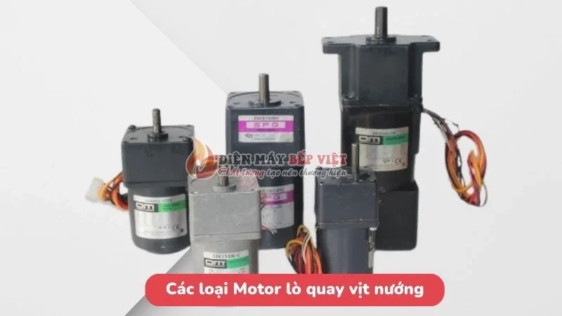 Các loại motor quay vịt phổ biến hiện nay