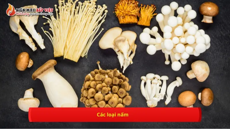 Các loại nấm