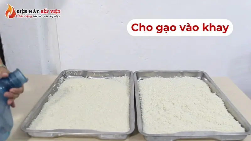 Cho gạo vào khay nấu và san đều