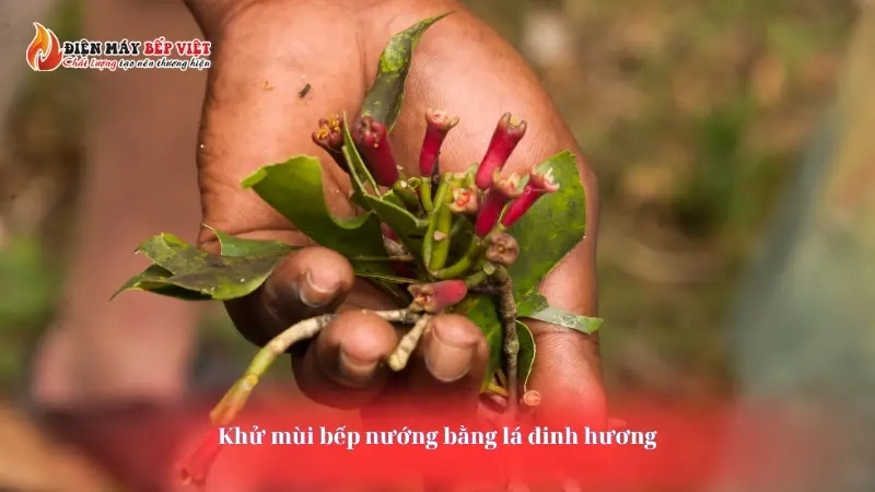 Khử mùi bếp nướng bằng lá đinh hương 