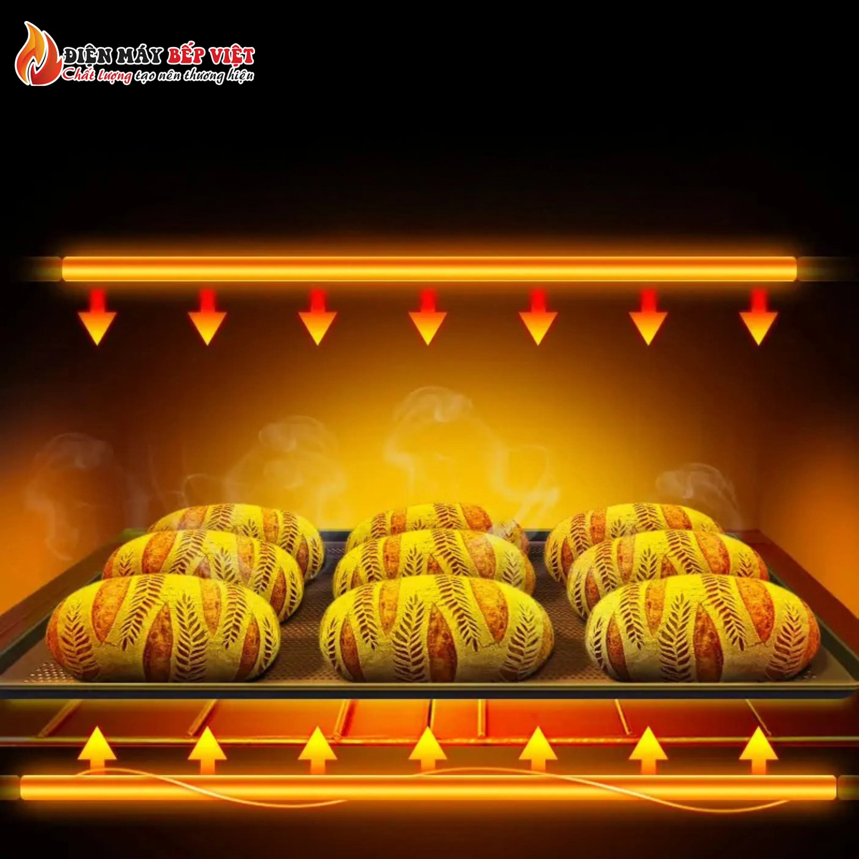 Lò Nướng Bánh