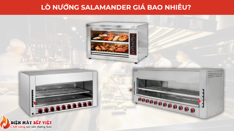 Lò nướng salanmader giá bao nhiêu