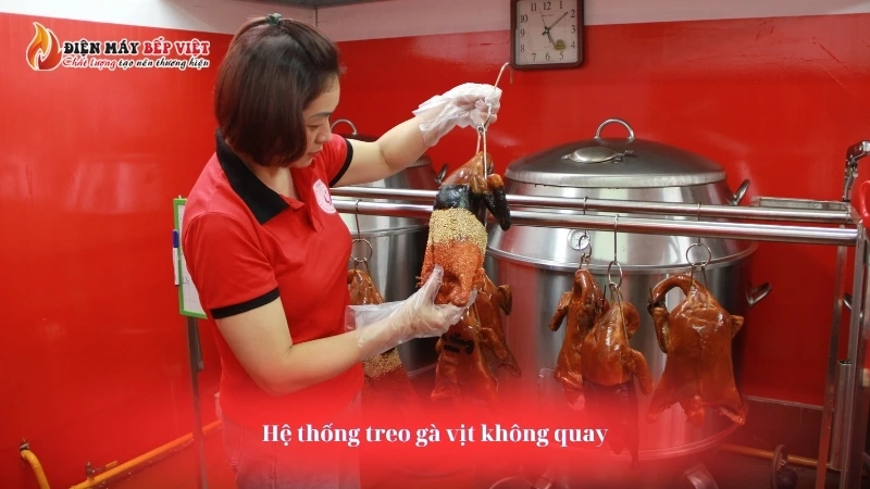 Lỗi hệ thống treo gà vịt không quay