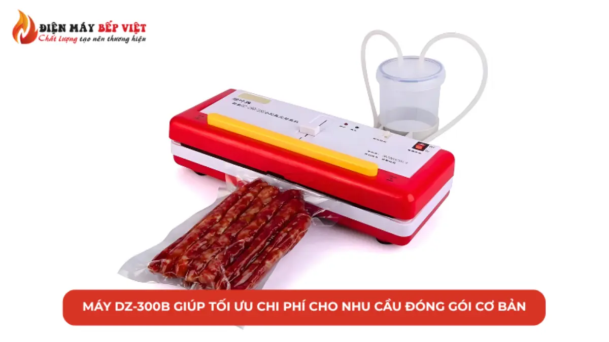 Máy hút chân không DZ-300B giúp tối ưu chi phí cho nhu cầu đóng gói cơ bản