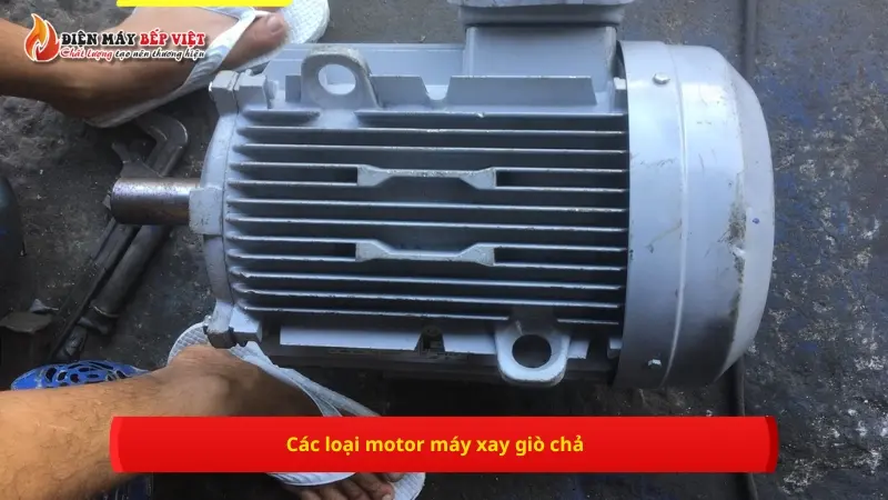 Các loại motor máy xay giò chả công suất cao