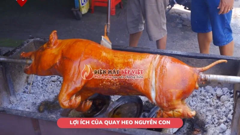 Những lợi ích của quay heo nguyên con