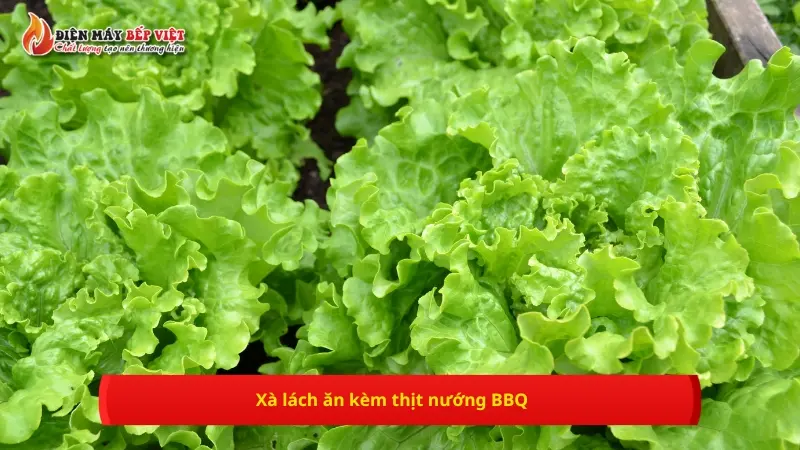 Thịt nướng BBQ ăn kèm những loại rau củ gì? - Xà lách