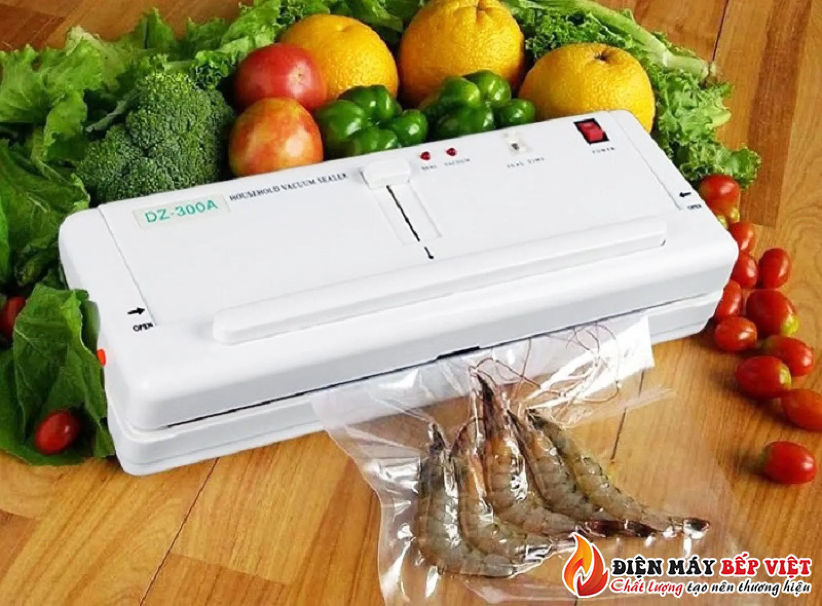 Máy hút chân không gia đình DZ-300B