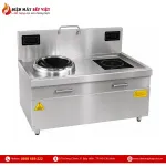 Bếp Đôi Điện Từ 1 Họng Phẳng 1 Họng Lõm BV12