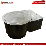 Bếp Nướng Than Gas Kết Hợp TG1224
