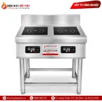 Bếp Từ Công Nghiệp 2 Họng BV2026