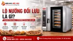 Lò Nướng Đối Lưu Là Gì Và Vì Sao Hợp Khi Nướng Nhiều Khay?