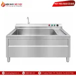 Máy Sục Ozone Rửa Rau Củ Quả Công Nghiệp BV-4000