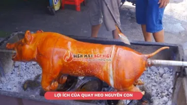 6 Lợi ích của quay heo nguyên con, giữ trọn vị tươi ngon